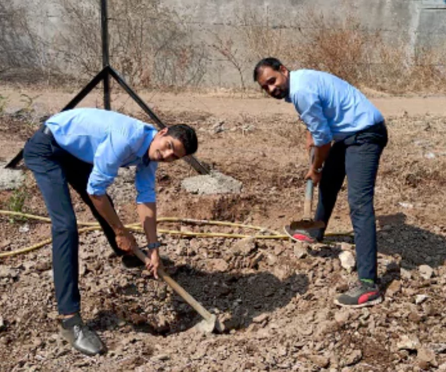 Tree Plantation 1